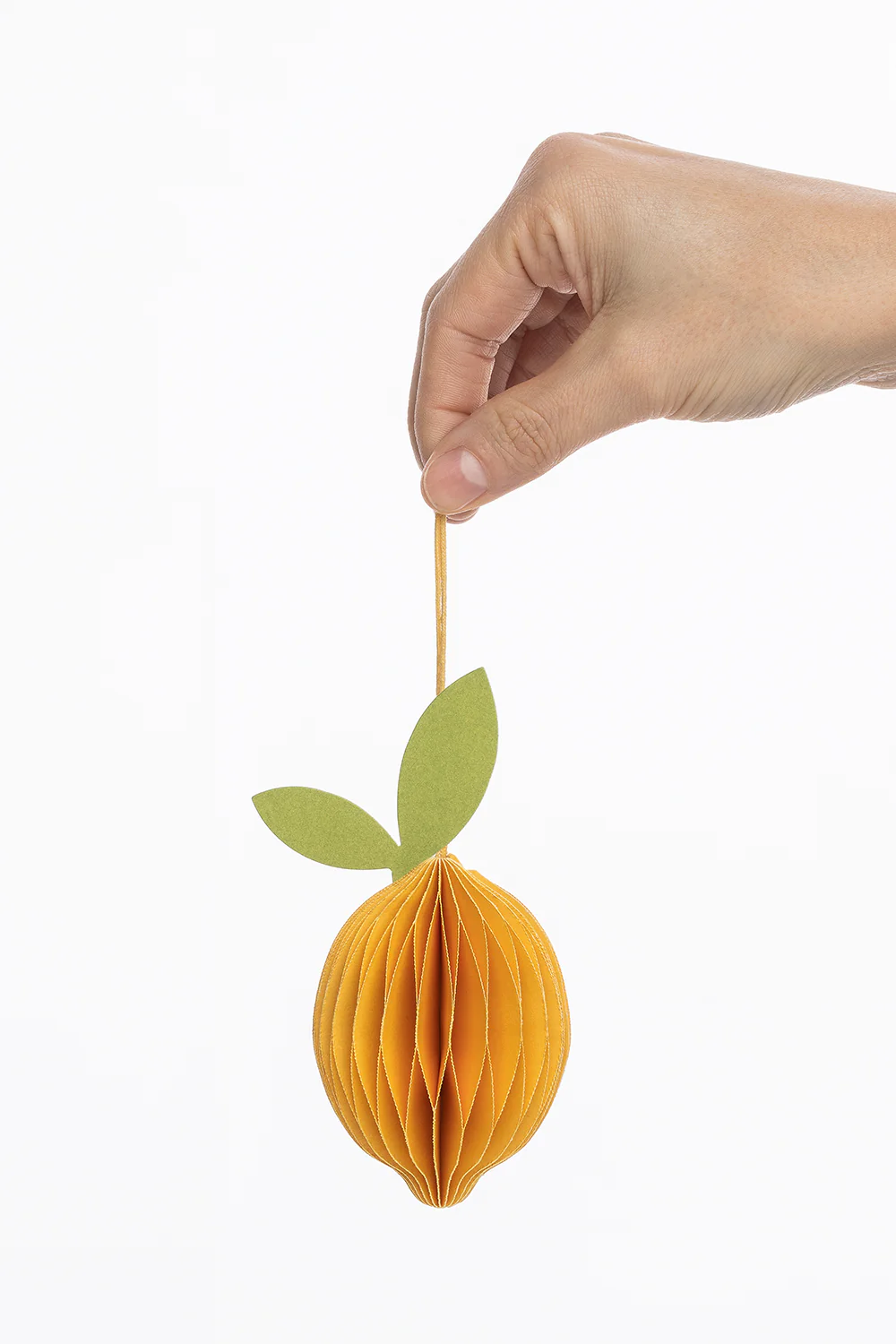 Papieranhänger LEMON - Image 2